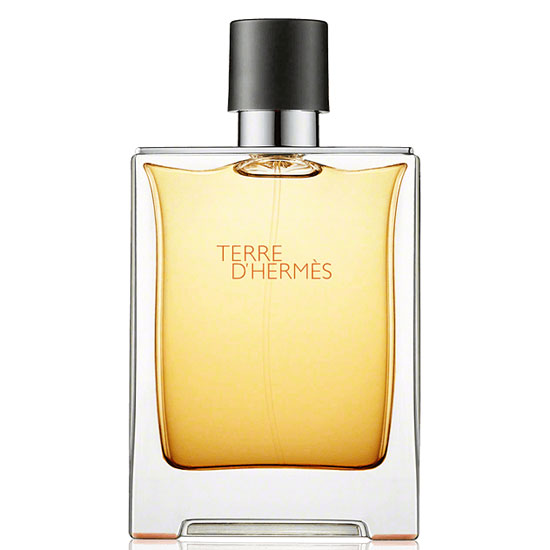 снимка на парфюм Hermes TERRE d'Hermes парфюм за мъже EDP 200 мл