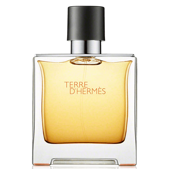снимка на парфюм Hermes TERRE d'Hermes парфюм за мъже EDP 75 мл